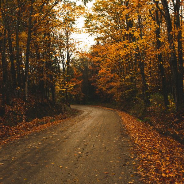 aditya-vyas-K-SMpTePY-8-unsplash